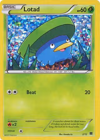 Lotad 2/12 Pokemon card