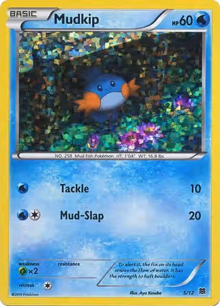 Mudkip 5/12 Pokemon card