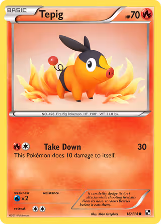 Tepig 16/114 Pokemon card