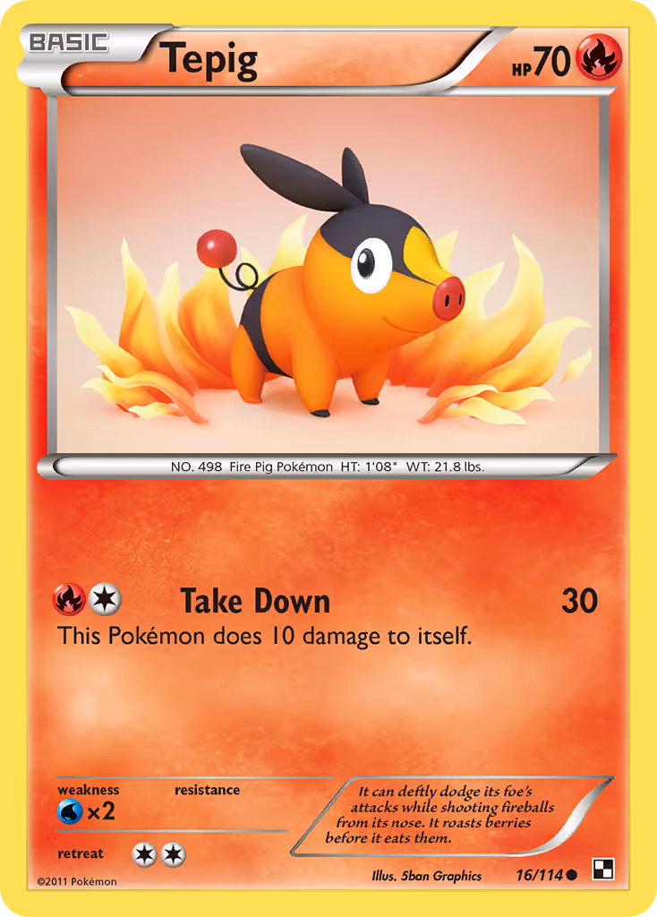 Tepig 16/114 Pokemon card