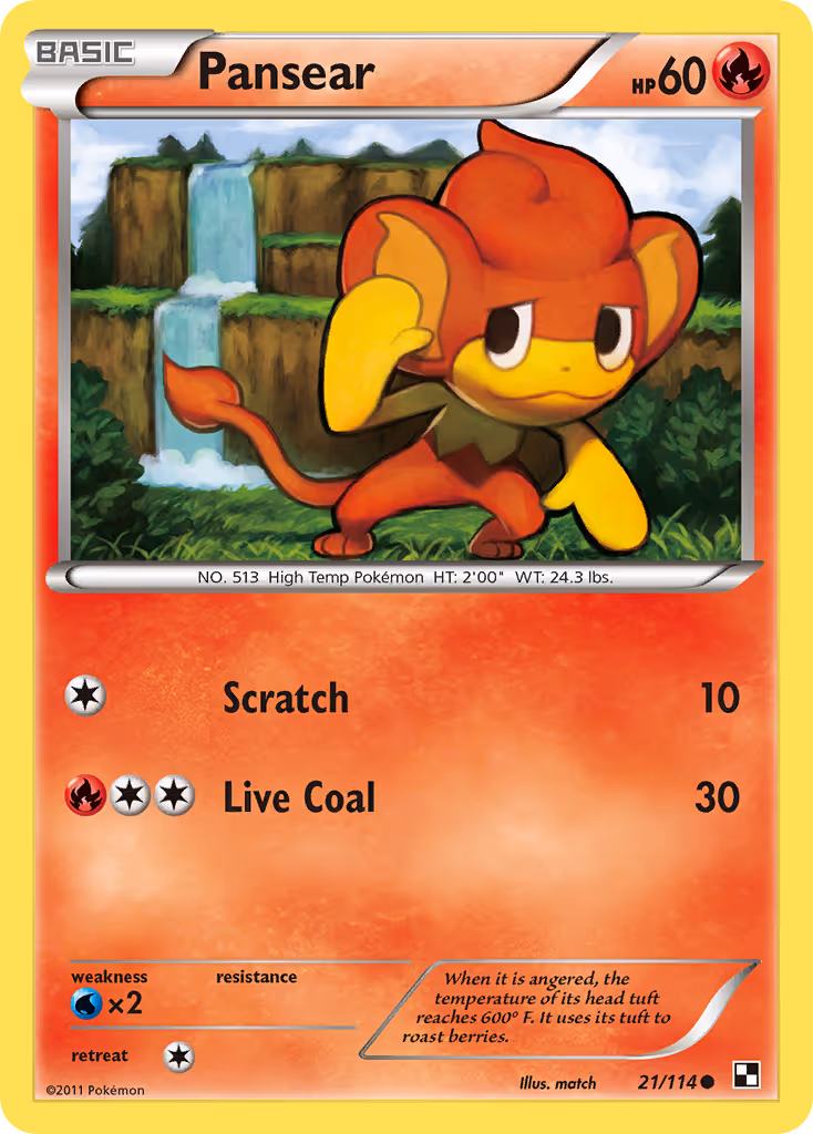 Pansear 21/114 Pokemon card