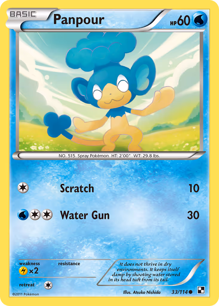 Panpour 33/114 Pokemon card
