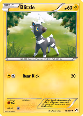 Blitzle 40/114 Pokemon card