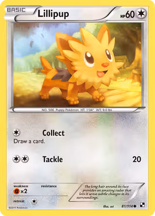 Lillipup 81/114 Pokemon card