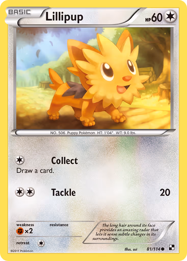 Lillipup 81/114 Pokemon card