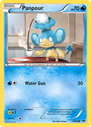 Panpour 28/99 Pokemon card