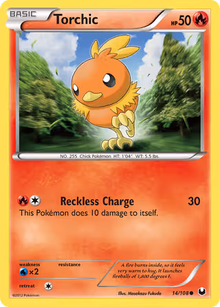 Torchic 14/108 Pokemon card