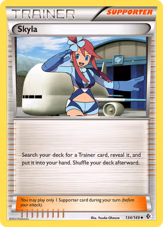 Skyla 134/149 Pokemon card
