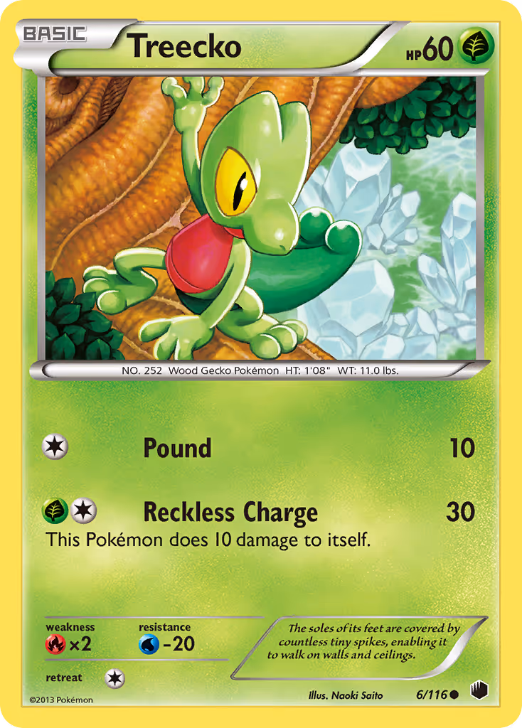 Treecko 6/116 Pokemon card