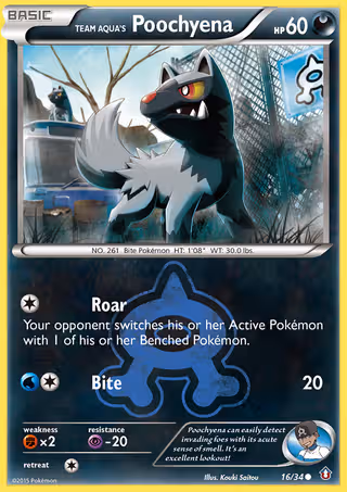 Team Aqua's Poochyena 16/34 Pokemon card