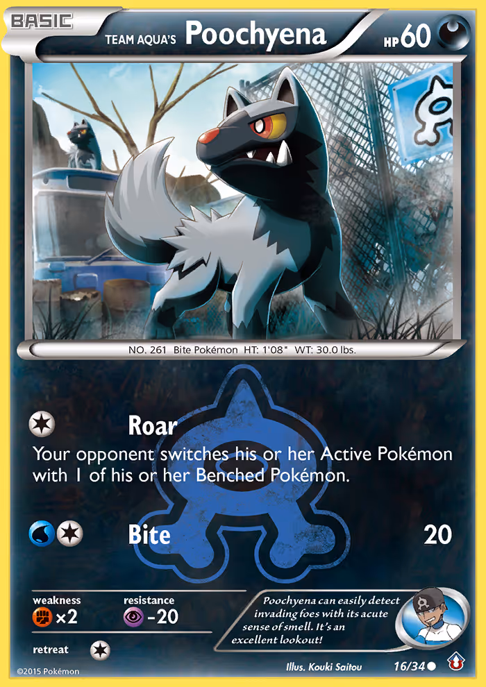 Team Aqua's Poochyena 16/34 Pokemon card