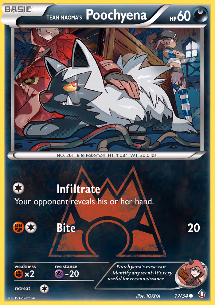 Team Magma's Poochyena 17/34 Pokemon card
