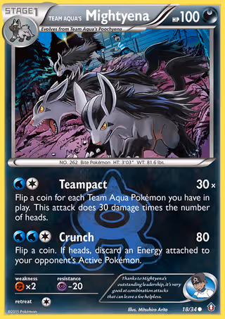 Team Aqua's Mightyena 18/34 Pokemon card