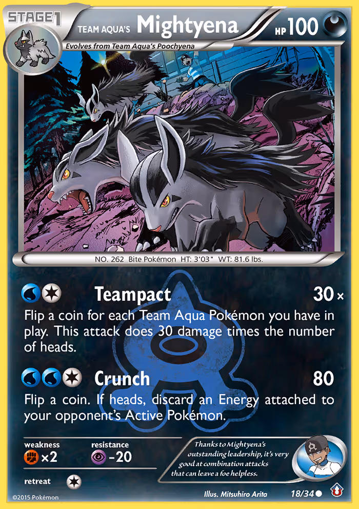 Team Aqua's Mightyena 18/34 Pokemon card