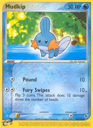 Mudkip 60/109 Pokemon card
