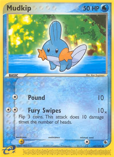 Mudkip 60/109 Pokemon card