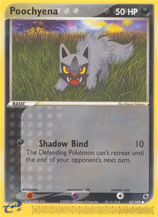 Poochyena 65/109 Pokemon card