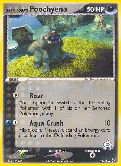 Team Aqua's Poochyena 55/95 Pokemon card