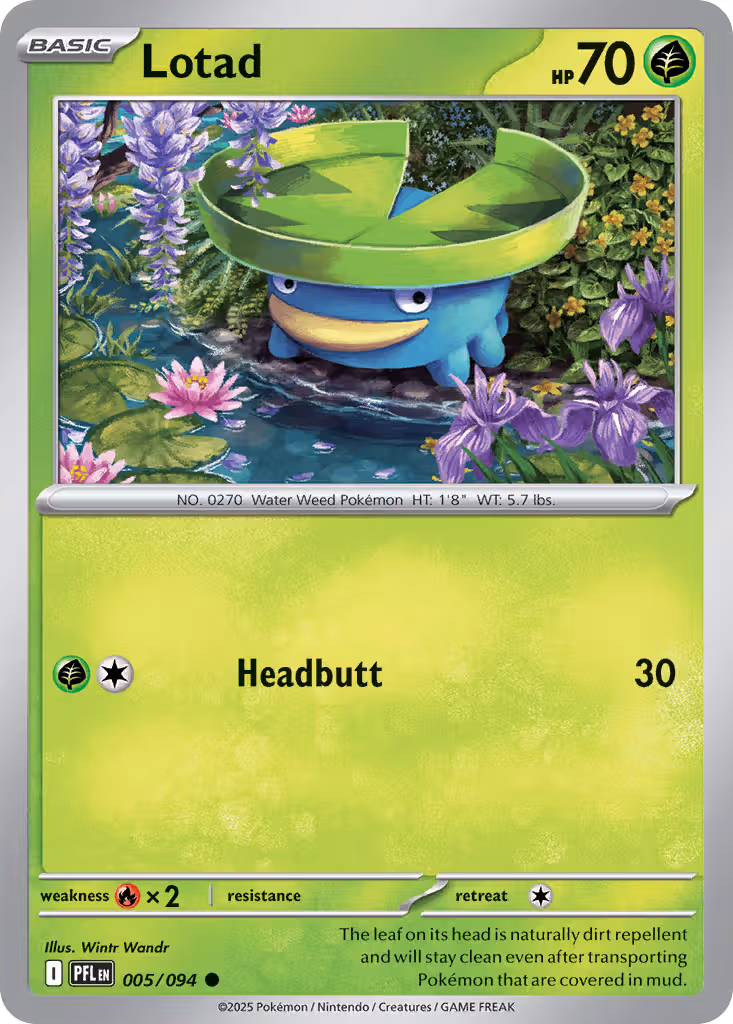 Lotad 5/94 Pokemon card