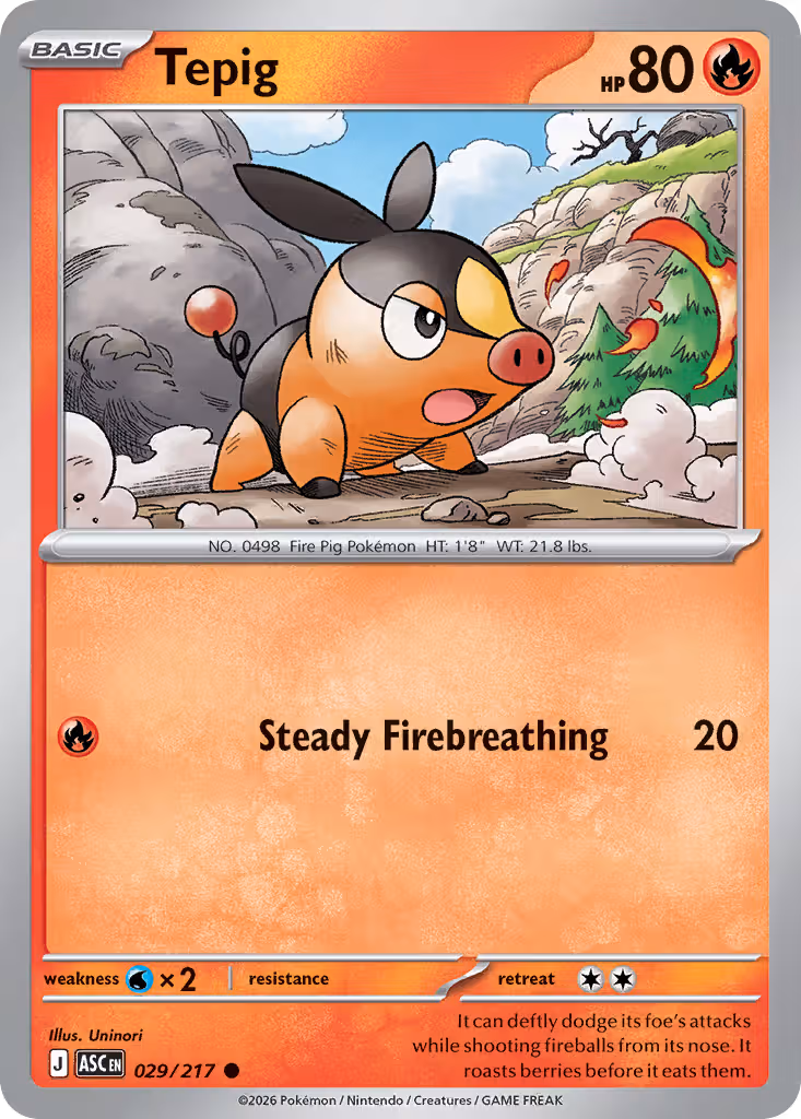 Tepig 29/217 Pokemon card
