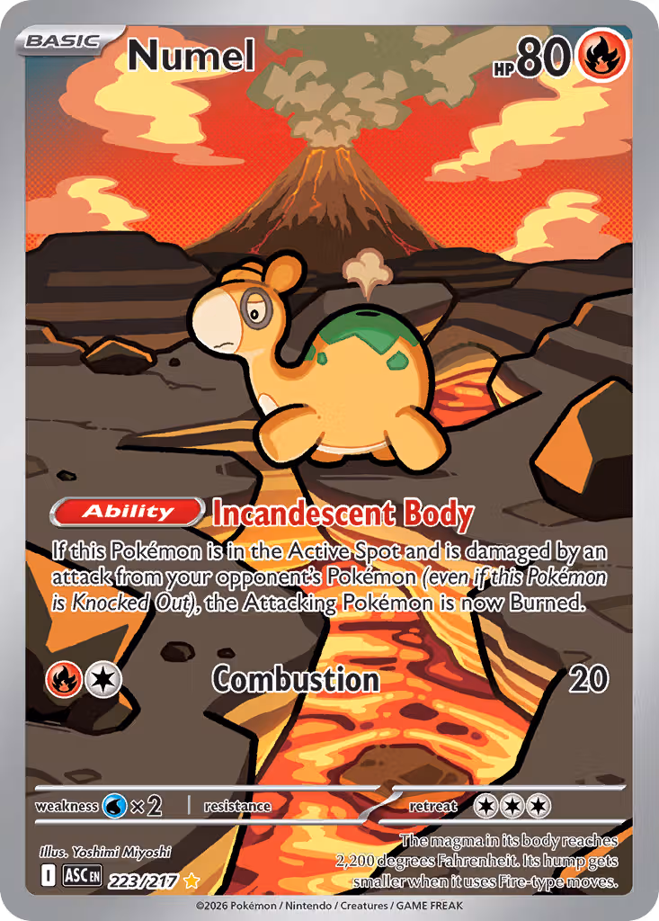 Numel 223/217 Pokemon card
