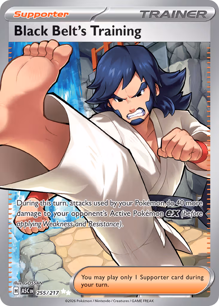 Black Belt's Training 255/217 Pokemon card