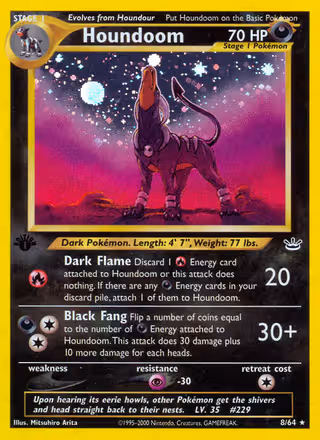 Houndoom 8/64 Pokemon card