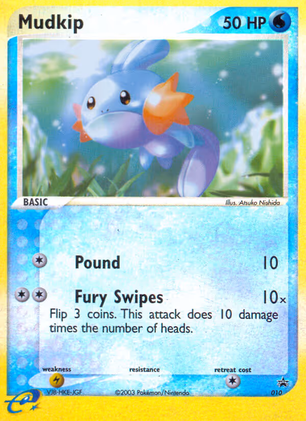 Mudkip 10/40 Pokemon card