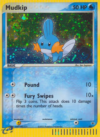 Mudkip 5/40 Pokemon card