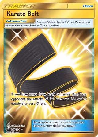 Karate Belt 252/236 Pokemon card