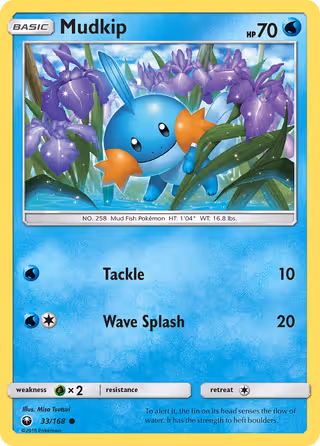 Mudkip 33/168 Pokemon card