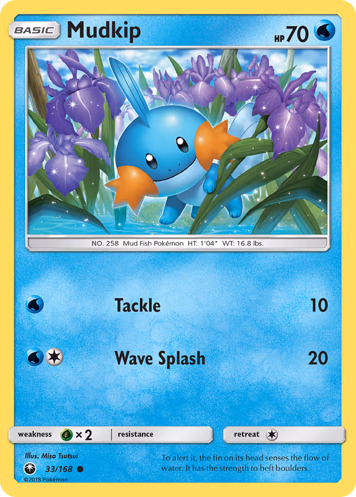 Mudkip 33/168 Pokemon card