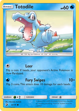 Totodile 22/70 Pokemon card