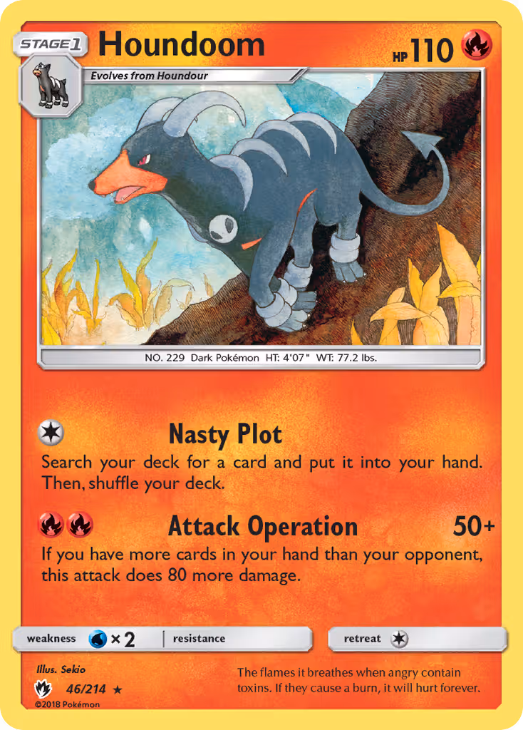 Houndoom 46/214 Pokemon card