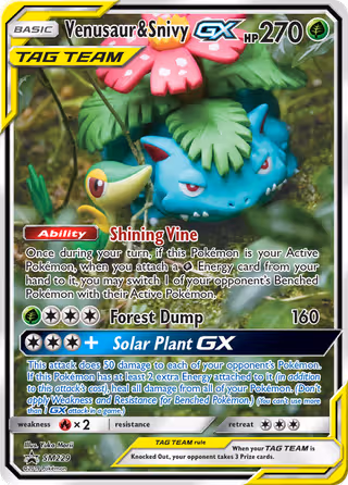 Venusaur & Snivy GX SM229 Pokemon card