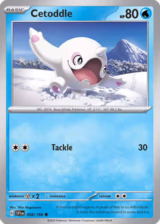 Cetoddle 58/198 Pokemon card