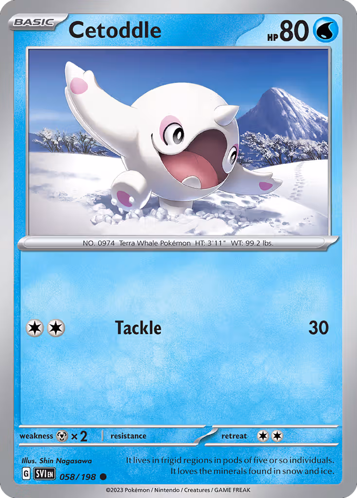 Cetoddle 58/198 Pokemon card