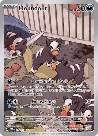 Houndour 204/197 Pokemon card