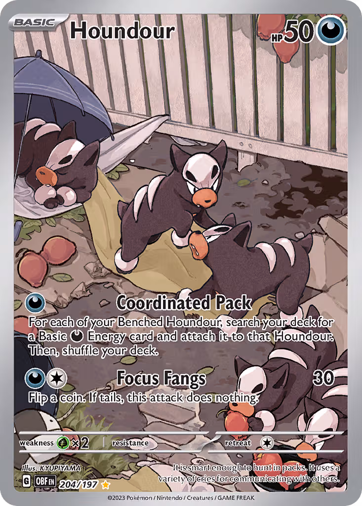 Houndour 204/197 Pokemon card