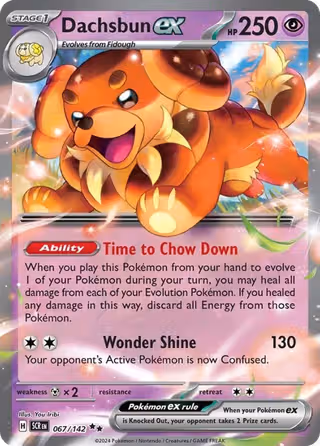 Dachsbun ex 67/142 Pokemon card