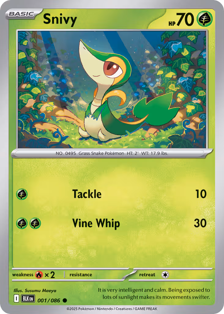 Black Bolt Pokemon card