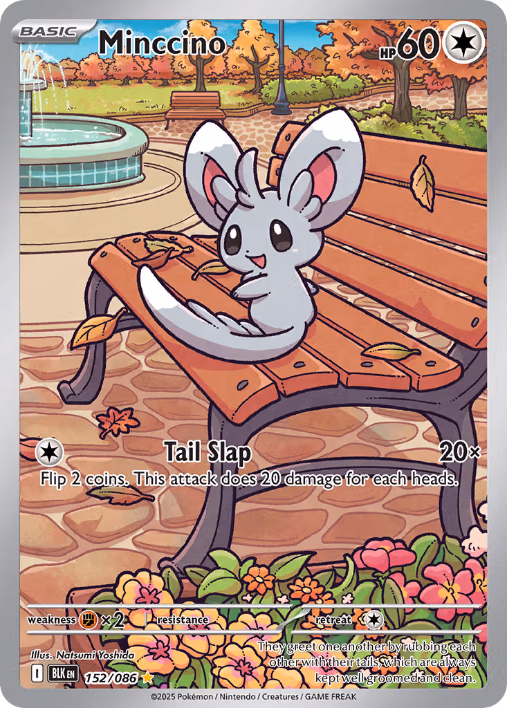 Minccino 152/86 Pokemon card