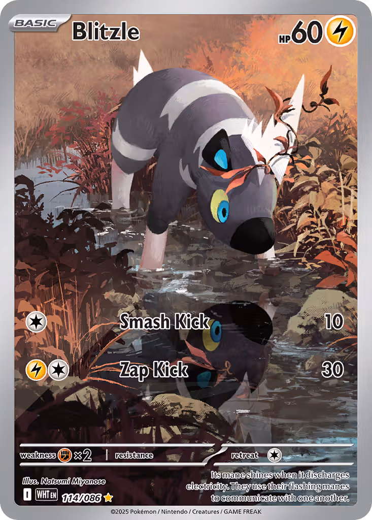 Blitzle 114/86 Pokemon card