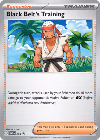 Black Belt's Training 219/225 Pokemon card