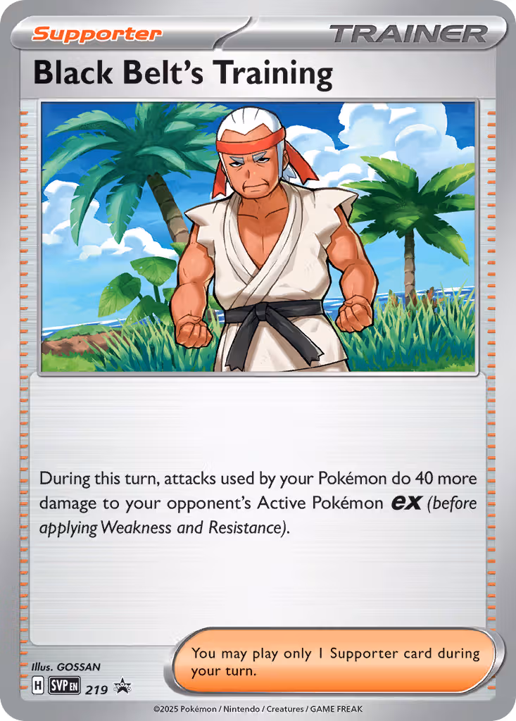 Black Belt's Training 219/225 Pokemon card