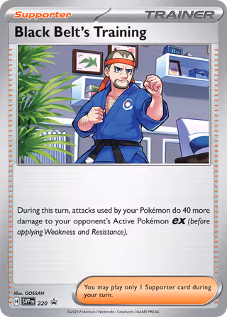 Black Belt's Training 220/225 Pokemon card