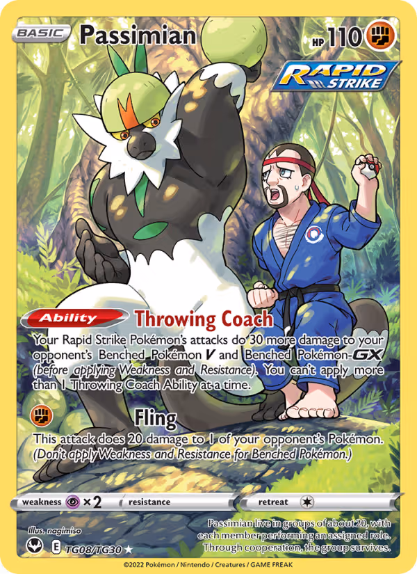 Passimian TG08 Pokemon card