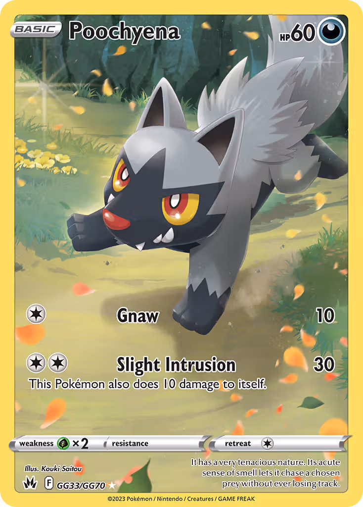 Poochyena GG33 Pokemon card