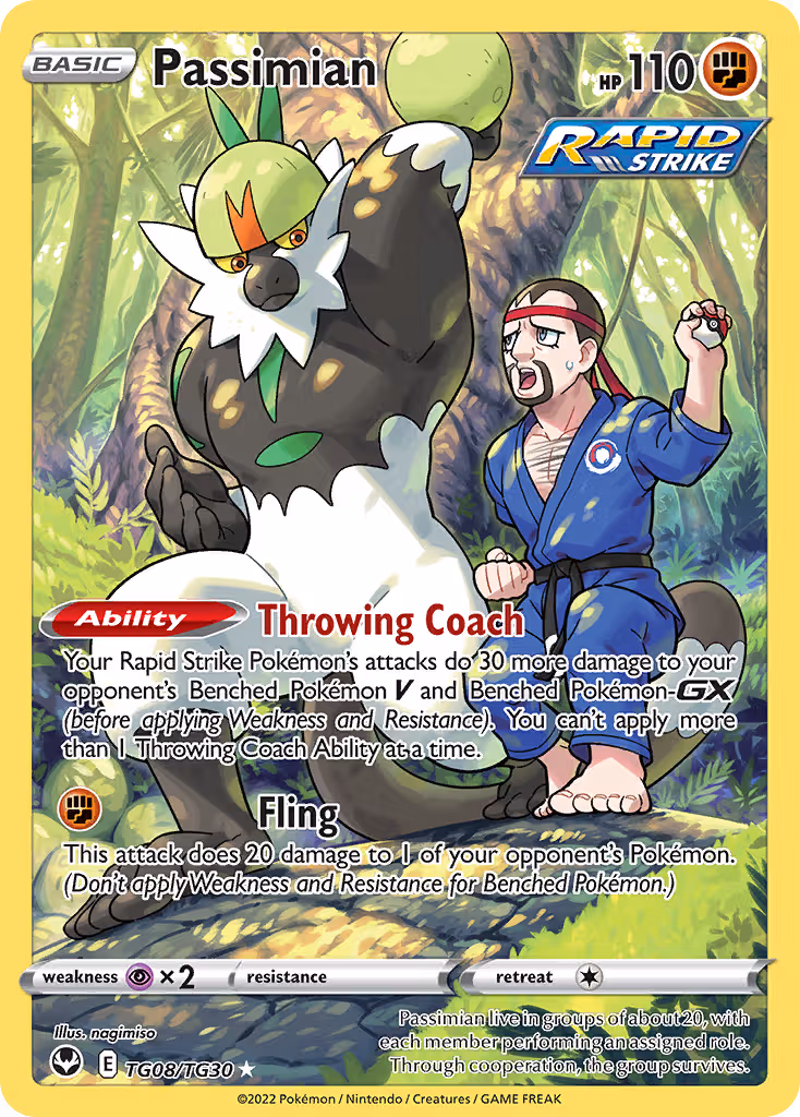 Passimian TG08 Pokemon card