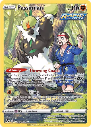 Passimian TG08 Pokemon card